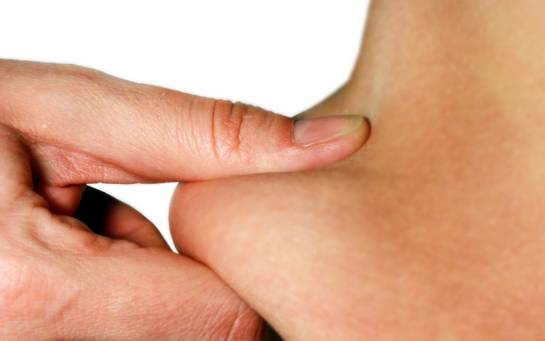 What Is A Body Mass Index And Why Is It Important?